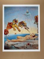 Salvador Dali (after) - Dream Caused by the Flight of a Bee, Antiek en Kunst