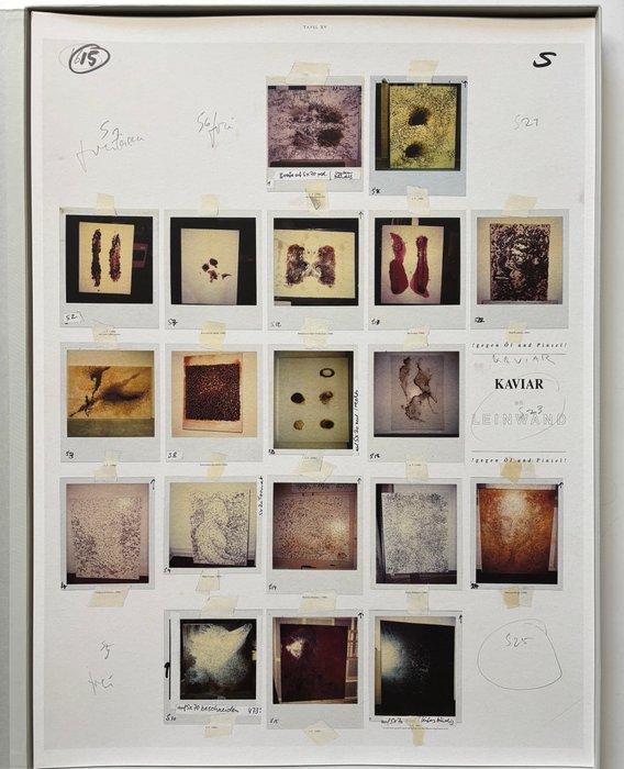 Georg Herold (1947) - Das Tafelwerk, Antiquités & Art, Art | Objets design