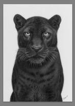 Schu - Black panther