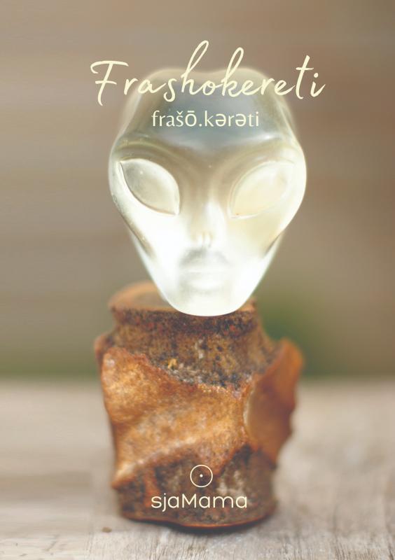 Frashokereti 9789403708294 Carola  W. Ruijsch van Dugteren, Boeken, Esoterie en Spiritualiteit, Zo goed als nieuw, Verzenden