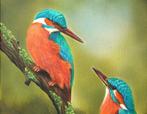 John Bijl (1951) - Twee ijsvogels op een tak.