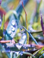 Inna Etuvgi - Rainbow Morning