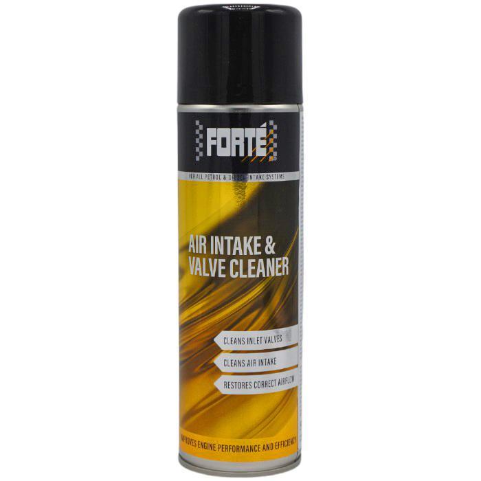 Forté Air Intake & Valve Cleaner, Autos : Pièces & Accessoires, Moteurs & Accessoires, Envoi