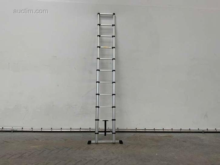 2x telescoop ladder Mr safe TL-320, Doe-het-zelf en Bouw, Gereedschap | Overige machines, Ophalen