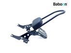 Sissybar Harley-Davidson XL 1200 C Sportster Custom, Motoren, Verzenden, Gebruikt