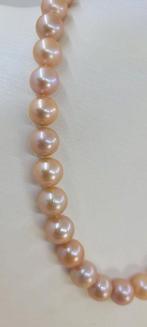 Sans Prix de Réserve - Collier - 14 carats Or blanc - Perles, Nieuw