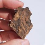 Bendego. Historische meteoriet uit het verbrande museum van, Collections