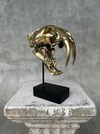 Statue, NO RESERVE PRICE - Saber Tooth Tiger Skull -