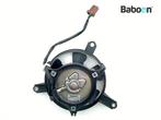 Koelfan Motor Honda FJS 400 | SW T 400 2008-2016 (FJS400 SW, Motoren, Verzenden, Gebruikt