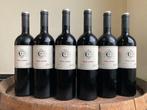 2021 Copel Wines. Pessac-Leognan - Bordeaux - 6 Flessen, Verzamelen, Wijnen, Nieuw