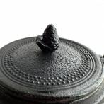 Oigen (Seieido) - Theepot - Tetsubin (Arare) - gietijzer -