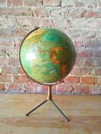 Terrestrial table globe - 1950-1960