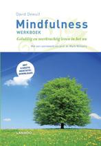 Mindfulness werkboek 9789401451758 David Dewulf, Boeken, Verzenden, Zo goed als nieuw, David Dewulf