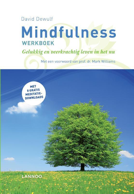 Mindfulness werkboek 9789401451758 David Dewulf, Boeken, Psychologie, Zo goed als nieuw, Verzenden