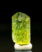 SUBLIME Volledig terminëerd Heliodor-kristal • 6,85 ct •, Verzamelen