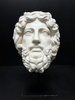 sculptuur, Testa di Zeus - 33 cm - marmeren stof
