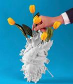 Ornement décoratif - Seletti - Marcantonio Raimondi Malerba, Antiek en Kunst