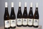 2022 Dr. Bürklin-Wolf Forst Riesling Village trocken - Pfalz, Nieuw