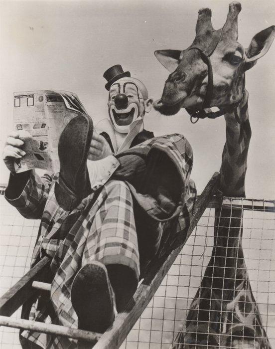 Ringling Bros Barnum & Bailey Circus - 1952 Famous Clown Lou, Antiek en Kunst, Kunst | Designobjecten
