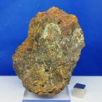 BOEK GEEN PRIJS! XL PALLASITE Meteoriet. SERICHO (Kenia,, Collections