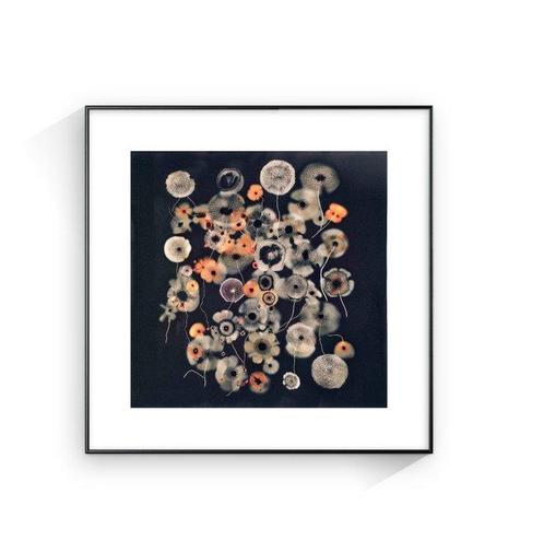 Jorge Omeñaca - Fractales - L, Antiek en Kunst, Kunst | Schilderijen | Modern