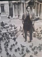 APIS - Alain Delon, Le Professeur 1972