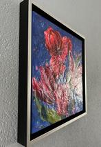 Hanneke Naterop - Roze feest