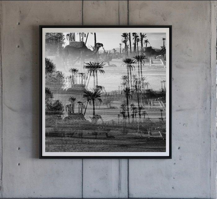 Ben Dauchez - Marrakech Multi camels, Antiquités & Art, Art | Objets design