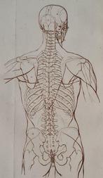 Cornelis Ploos van Amstel - Aanleiding tot de kennis der