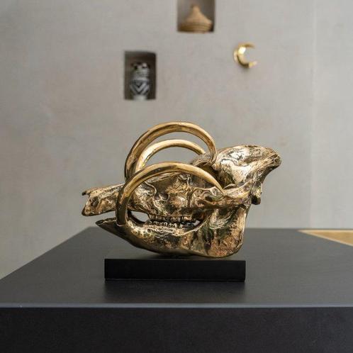 Sooka Interior - sculptuur, Sculpture, Babirusa Skull on a, Antiek en Kunst, Kunst | Designobjecten