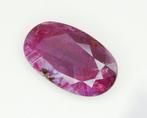 Zonder Minimumprijs Rood Robijn - 9.98 ct - nternational, Nieuw