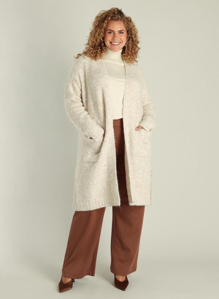 Yest Curve vest Genoveva1(48)Maat 46/48 (XL) of groter, Vêtements | Femmes, Pulls & Gilets, Envoi