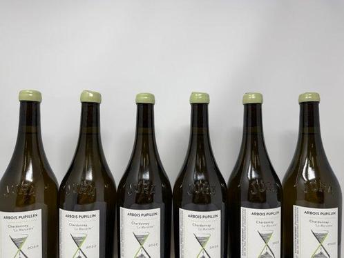 2022 Cellier Saint Benoit Arbois-Pupillin Chardonnay La, Verzamelen, Wijnen