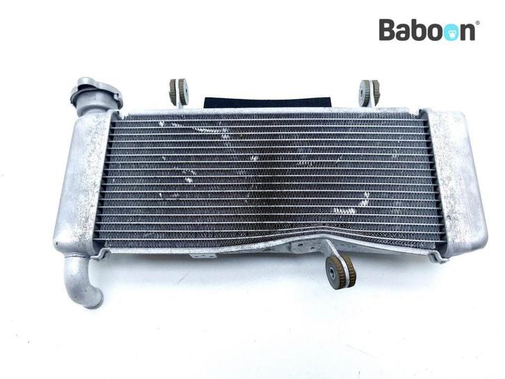 Radiateur Kawasaki NINJA 125 2021 (BX125), Motoren, Onderdelen | Kawasaki, Verzenden