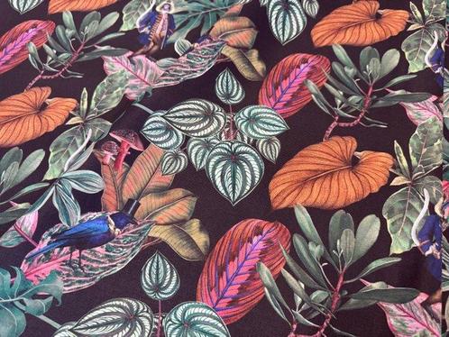 Enigmatisch bos: aristocratische apen en vogels in smoking -, Antiek en Kunst, Curiosa en Brocante
