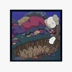 Snoop Dogg - Doggystyle / Reimagined by KAWS - Limited to, Nieuw in verpakking
