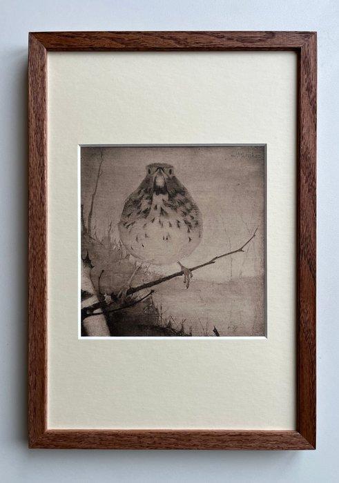 Jan Mankes (1889-1920) - Lijster op tak, Antiek en Kunst, Antiek | Overige Antiek