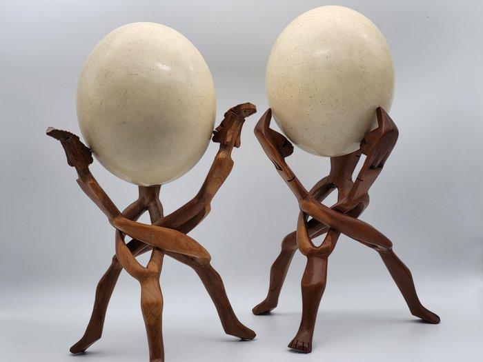 Struisvogel Ei - Struthio camelus - 16 cm - 13 cm - 13 cm -, Antiek en Kunst, Curiosa en Brocante