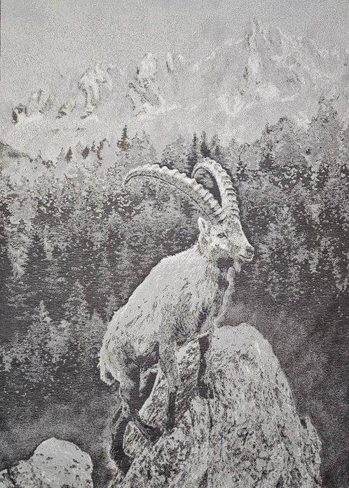 Raro Arazzo Jacquard in alpaca-keper met berggeit -, Antiek en Kunst, Antiek | Tapijten, Tafelkleden en Textiel