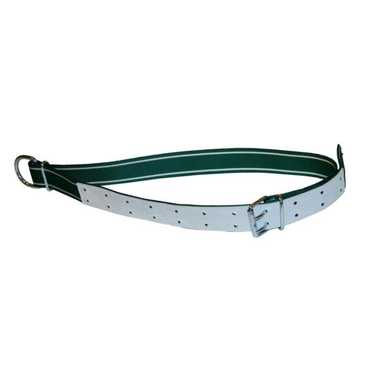 Halsb.groen/wit,150x5cm met ovalen lid en d-ring - kerbl, Dieren en Toebehoren, Stalling en Weidegang