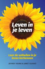 Leven in je leven 9789026515699, Livres, Psychologie, J. Young, J. Klosko, Verzenden