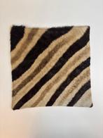 Zebra Balg - Equus quagga - 40 cm - 40 cm - 1 cm -