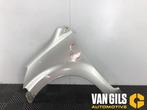 Scherm links-voor Daihatsu Sirion O258214, Nieuw
