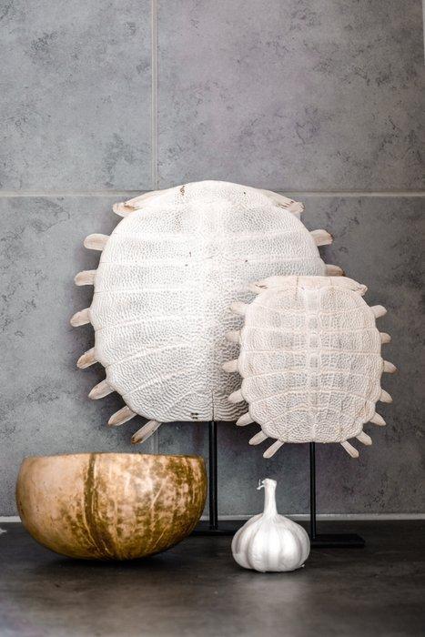 GEEN MINIMUMVERKOOPPRIJS - Chinese weekschildpadpantser op, Antiek en Kunst, Kunst | Designobjecten
