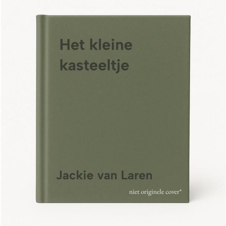 Het kleine kasteeltje 9789049207410 Jackie van Laren, Boeken, Romans, Gelezen, Verzenden