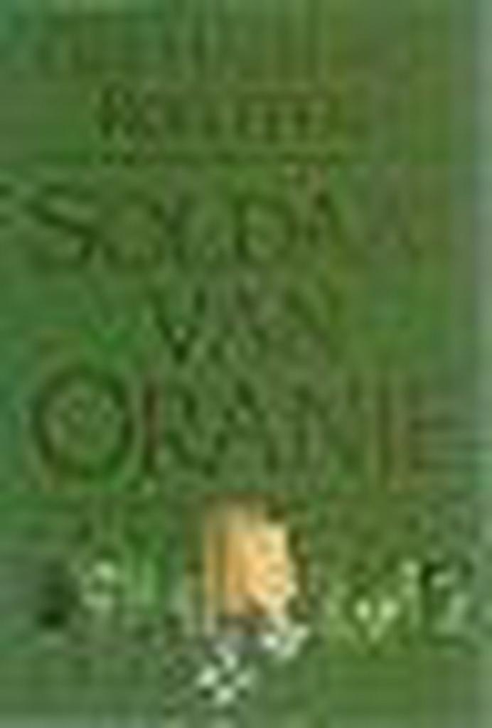 Soldaat van Oranje 1940-1945, 1946-1980 9789027418579, Boeken, Romans, Gelezen, Verzenden