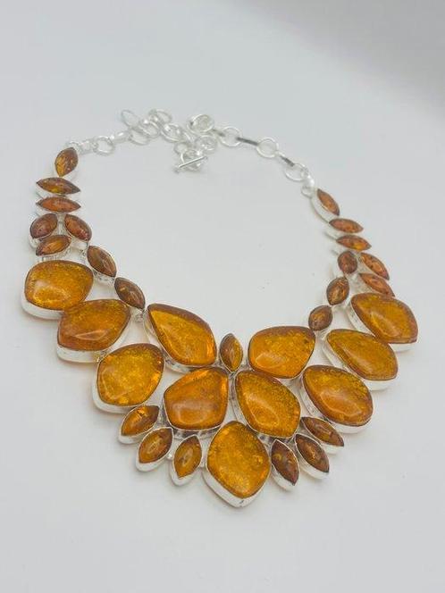 Ambre - Argent - Collier - Pas de prix de réserve., Verzamelen, Dierenverzamelingen