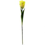 Tulp Parkiettulp Yellow/GEEL / stuks. 56cm. Tulpen, Nieuw