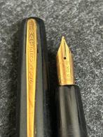 Waterman - Zonder Minimumprijs - Vulpen, Verzamelen, Nieuw