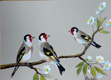 henk poeder - Vogels